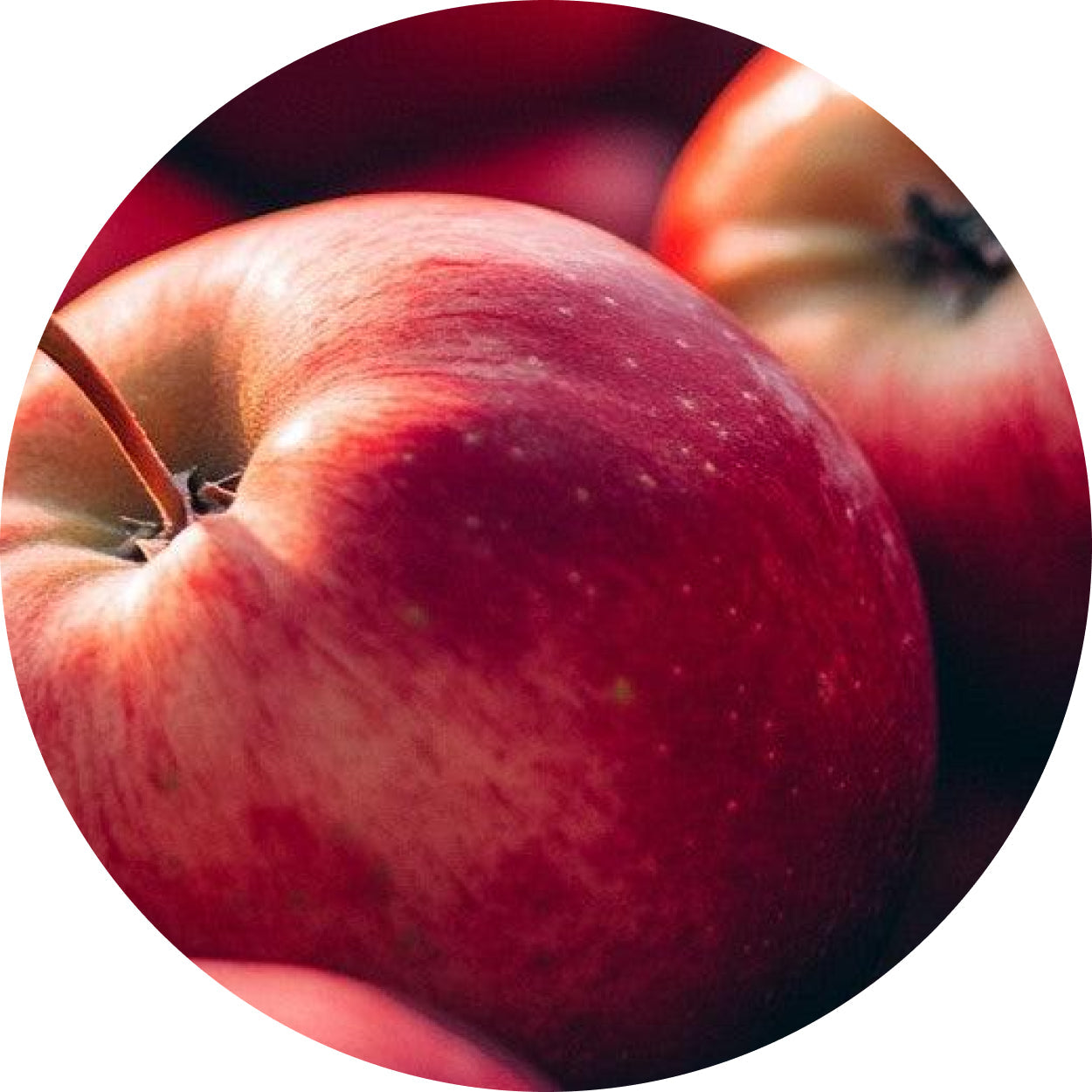 Apple Cider Vinegar