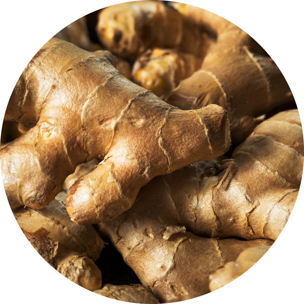 Ginger Extract